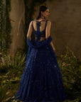 Moonlit Lehenga Set