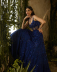 Moonlit Lehenga Set