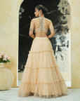 Multi-Hued Embroidered Blouse and Tier Skirt Set