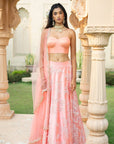 Peach Bustier with Skirt and Dupatta - peach dress Canada