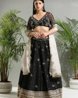 Black Placement Embroidered Lehenga Set - embroidered lehenga
