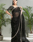 Black Organza Saree and Embroidered Blouse Set - sari outfit