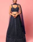 Rio Navy Embroidered Lehenga - lehenga set USA