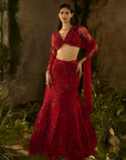Rossa Bella Lehenga Set
