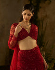 Rossa Bella Lehenga Set
