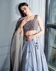 Steel Grey Crystals Lehenga Set - lehenga USA