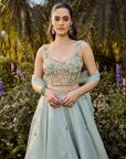 Soft Haze Lehenga Set