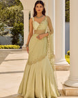 Soft Sage Saree - Woman in a light green saree