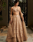 Tuscan Beige Lehenga Set