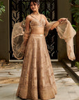 Tuscan Beige Lehenga Set