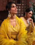 Mustard Embroidered Angrakha Gown - gown Australia