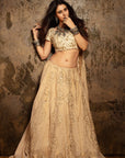 Beige and Ivory Hand Embroidered Lehenga Set - embroidered lehenga