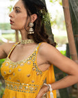 Aabira Sharara Set - WaliaJones