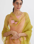 Aaina anarkali with Organza Gulabh Dupatta