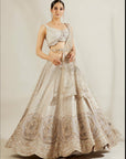 Abalone Grey Gold Lehenga