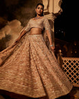 Alyssa Peach Embroidered Lehenga - lehenga choli choli