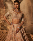Alyssa Peach Embroidered Lehenga