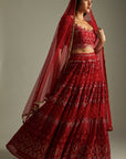 Arshia Ruby Red Lehenga Set