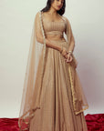 Arya Rose Gold Sequin Lehenga Set