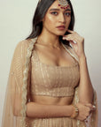 Arya Rose Gold Sequin Lehenga Set