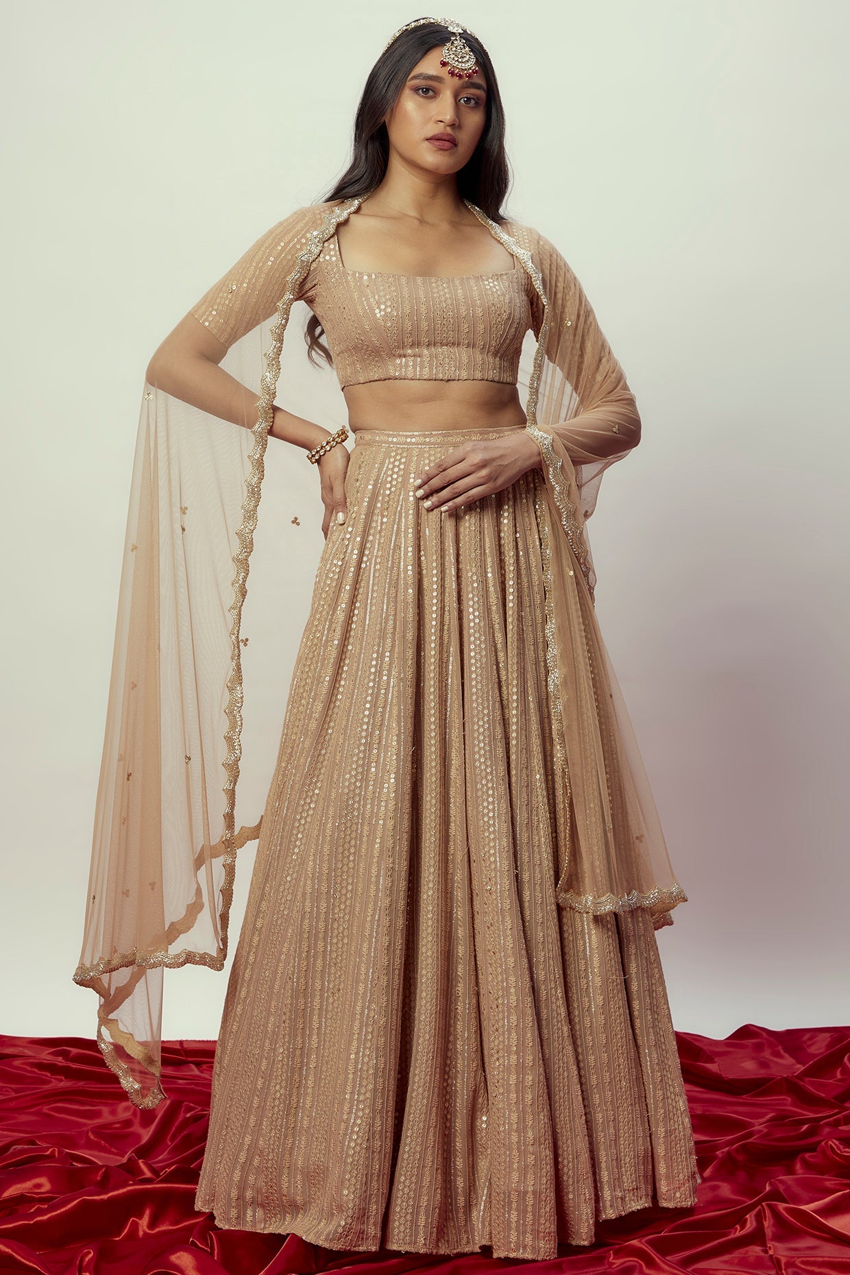 Light rose gold soft silk sequinned Lehenga main image 0