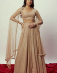 Arya Rose Gold Sequin Lehenga Set