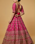 Bhavna Lehenga Set