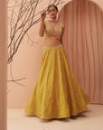 Blaze Lehenga Set