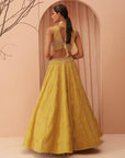 Blaze Lehenga Set - lehenga designer lehenga