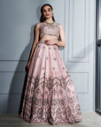 Blush Pink Crystals Lehenga Set - india dress women