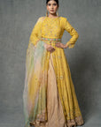 Butter Yellow Anarkali Set - yellow anarkali USA
