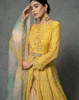 Butter Yellow Anarkali Set