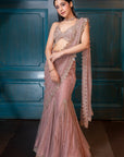 Champagne saree