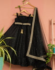 Charcoal Black Lehenga with Blouse and Dupatta