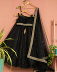 Charcoal Black Lehenga with Blouse and Dupatta