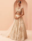 Cleopatra Lehenga