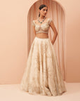 Cleopatra Lehenga