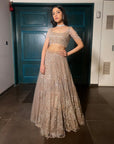 Crystal Gold Lehenga