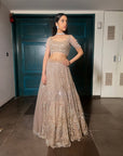 Crystal Gold Lehenga