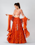 Deep Orange Embroidered Pleated Skirt Set