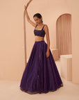 Disco Lehenga Set