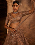 Dust Peach Organza Lehenga