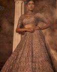 Dust Peach Organza Lehenga