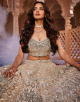 Dusty Firoza Velvet Embroidered Lehenga