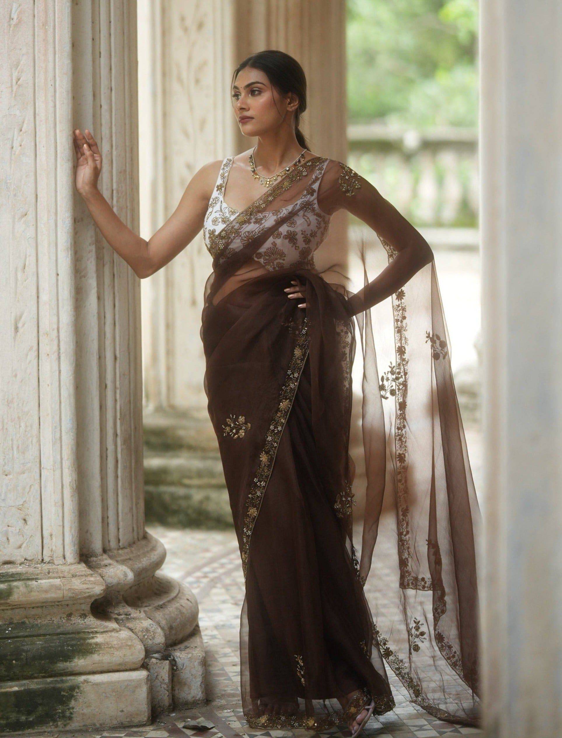 Expresso Organza Saree Set - indian sari dress