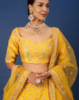 Floral Boxes Mustard Lehenga