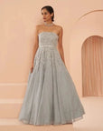 Frozen Crystal Gown - indian gown