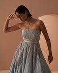 Frozen Crystal Gown - indian gown