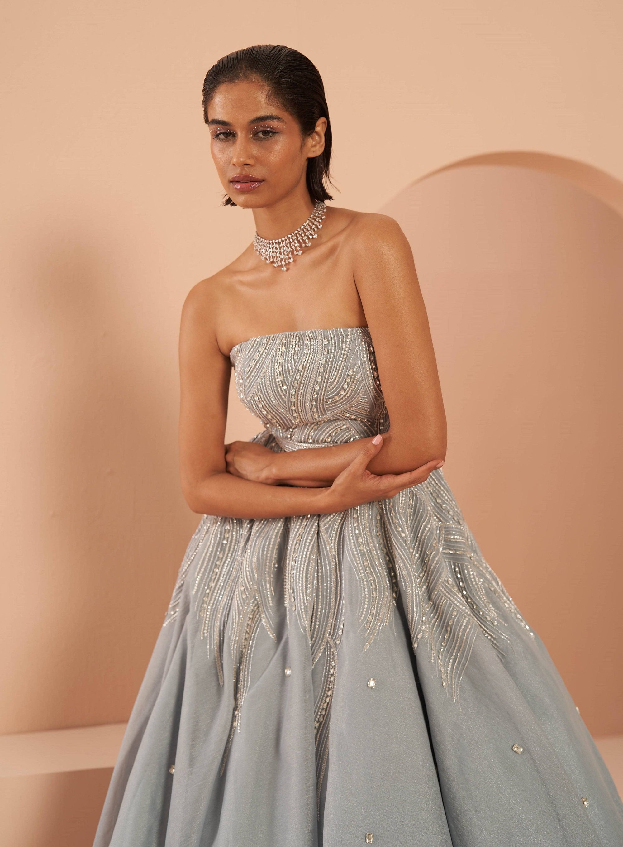 Frozen Crystal Gown - indian gown