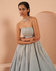Frozen Crystal Gown - indian gown
